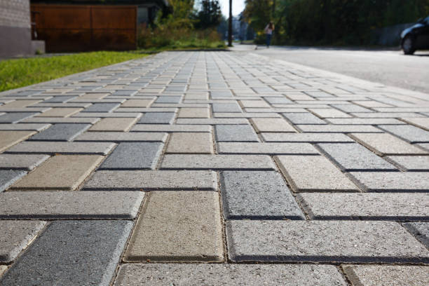 Best Professional Driveway Pavers  in Winnebago, IL